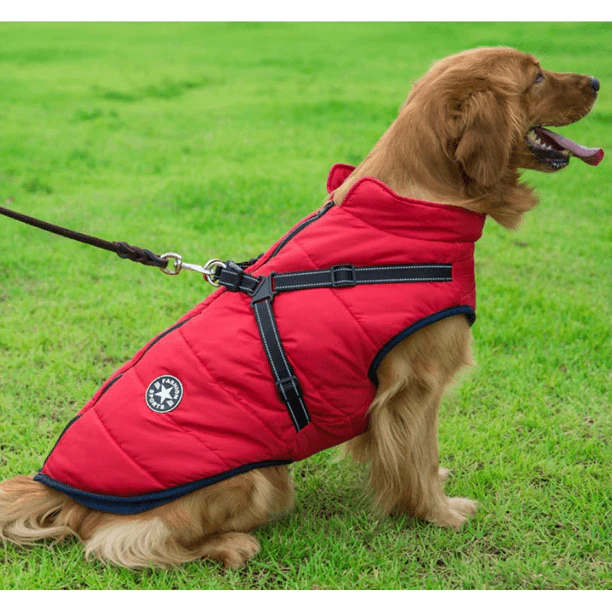 Doggo & Co™ - Waterproof Winter Jacket with Built-in Harness